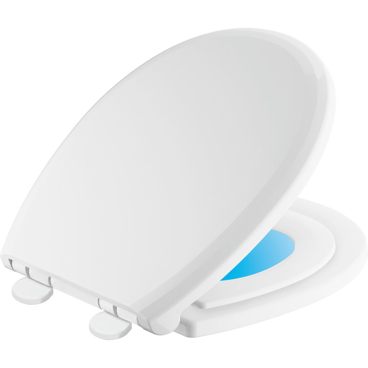 Delta Sanborne Elongated Toilet Seat & Reviews Wayfair
